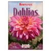 Bohnanza Dahlias -Game Store 8655078403541661695 74378