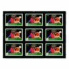 Ultra Pro One-Touch Black Border 35pt 9 Card Holder -Game Store 8870866155250550785 74378